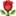 🌹