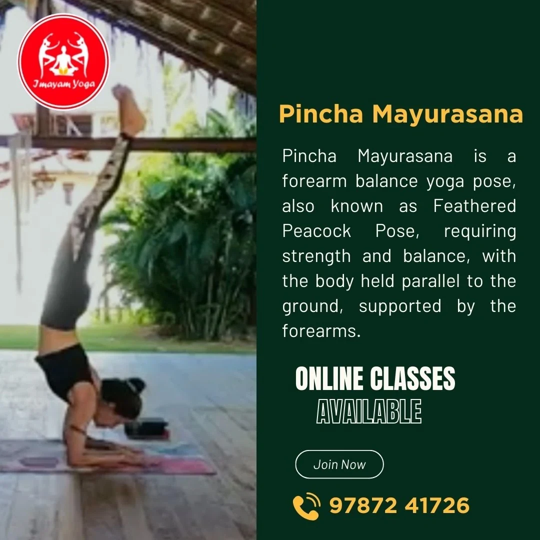 Imayam Yoga Center in Tirunelveli