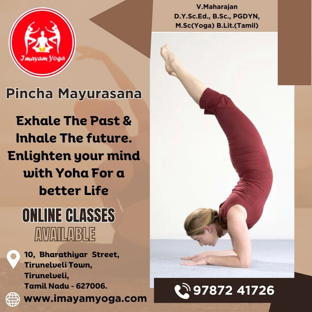 Pincha Mayurasana — Imayam Yoga Center
